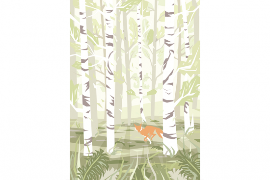 Birch Poster