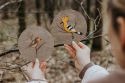 Hoopoe Wooden Image