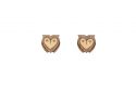 Wise Owl Earrings