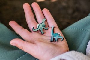 Cute Bronco Brooch